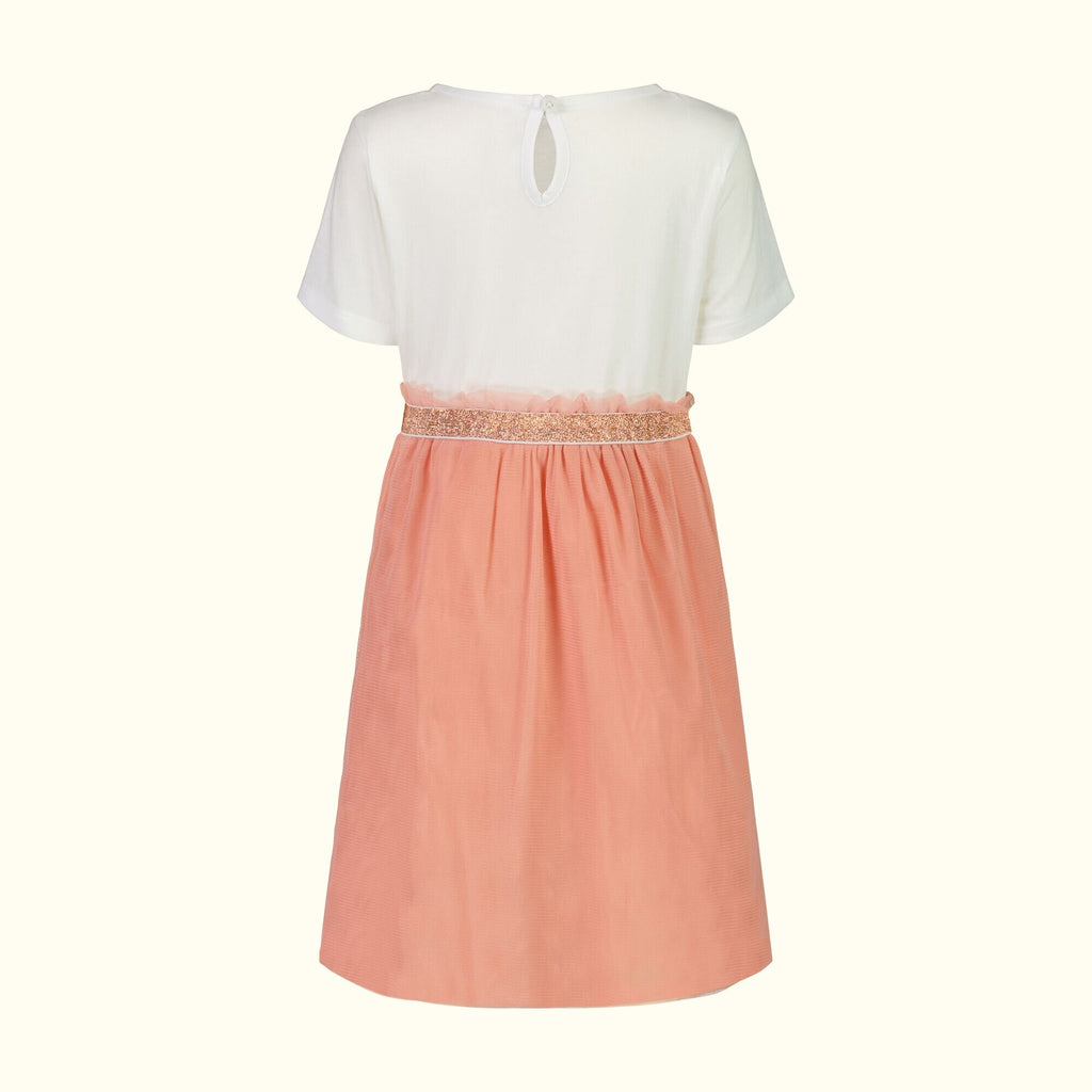 Peach Tulle and Organic Cotton Dress back