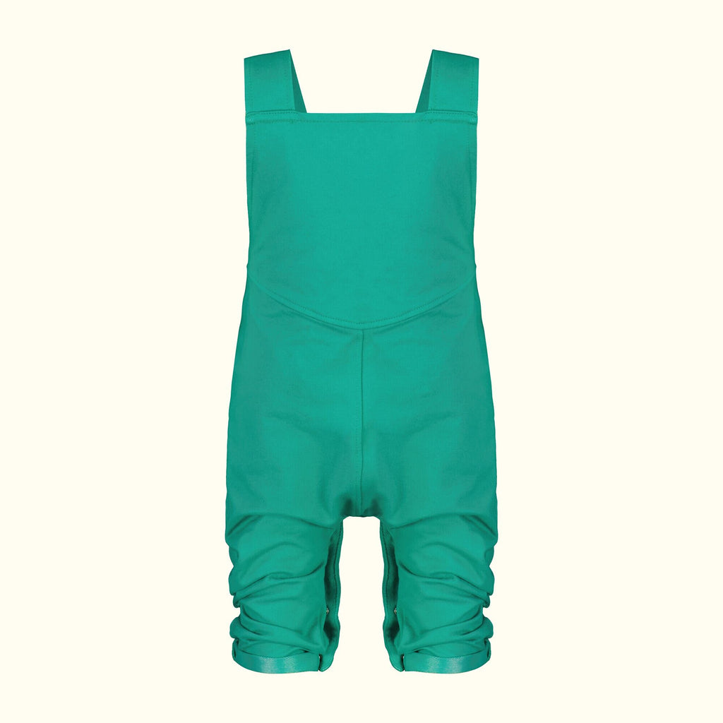 Bush Green Denim Dungarees back